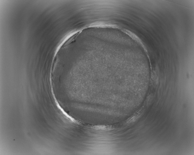 X0000078870855200612041956