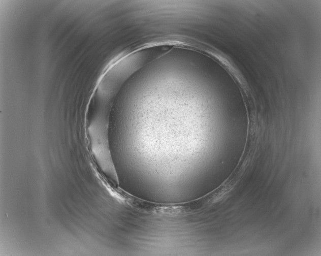 X0000078870858200612041956