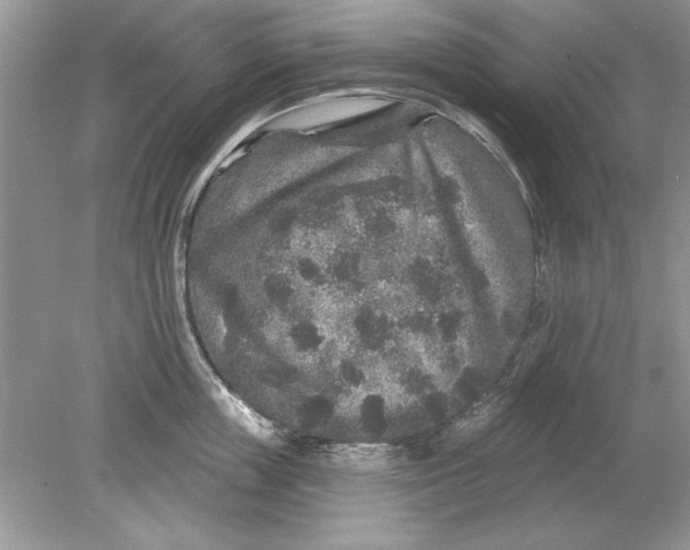 X0000078870859200612041956