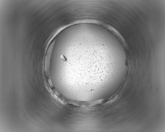 X0000078870860200612041956