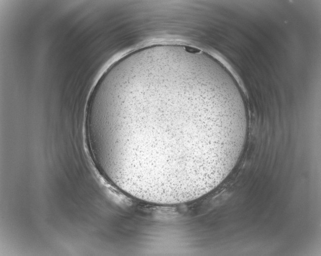 X0000078870861200612041956