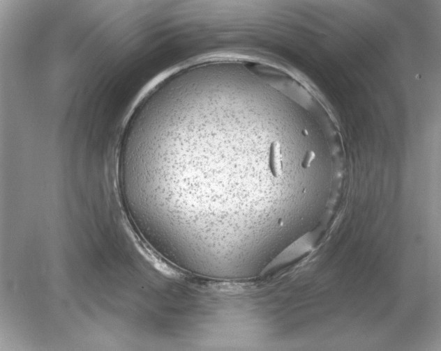 X0000078870862200612041956