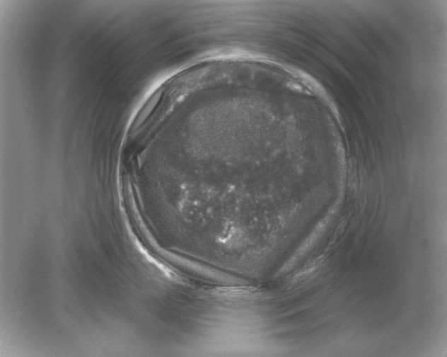 X0000078870863200612041956