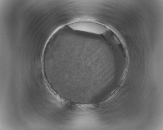 X0000078870864200612041956