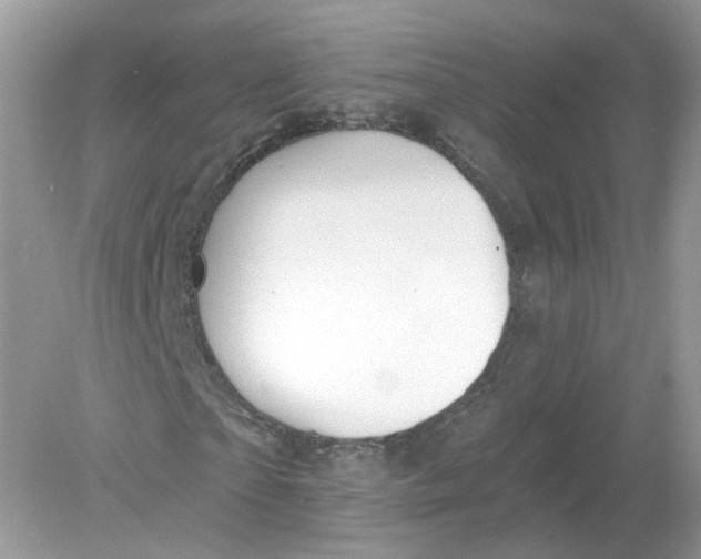 X0000078870865200612041955