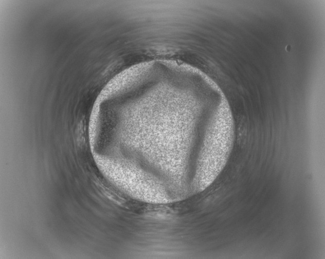 X0000078870866200612041955