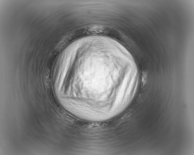 X0000078870867200612041955