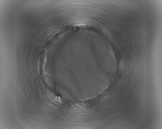 X0000078870868200612041955