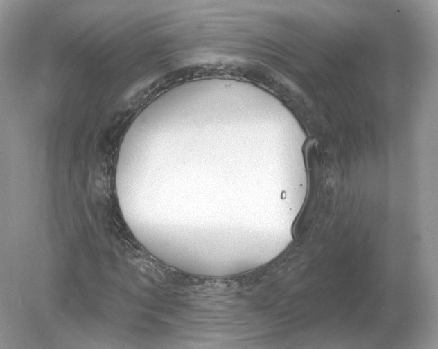 X0000078870869200612041955