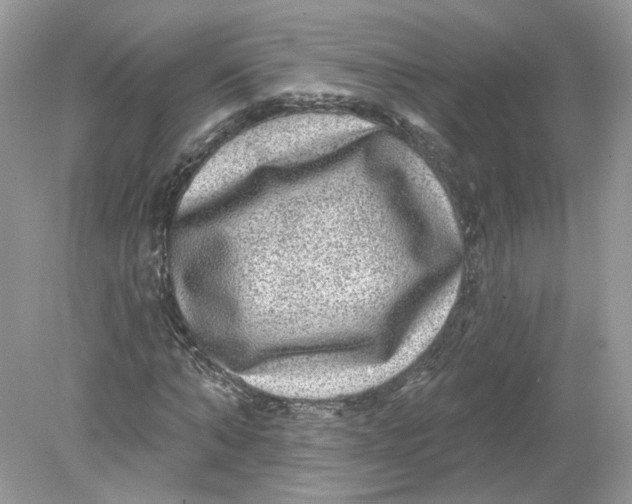 X0000078870870200612041955