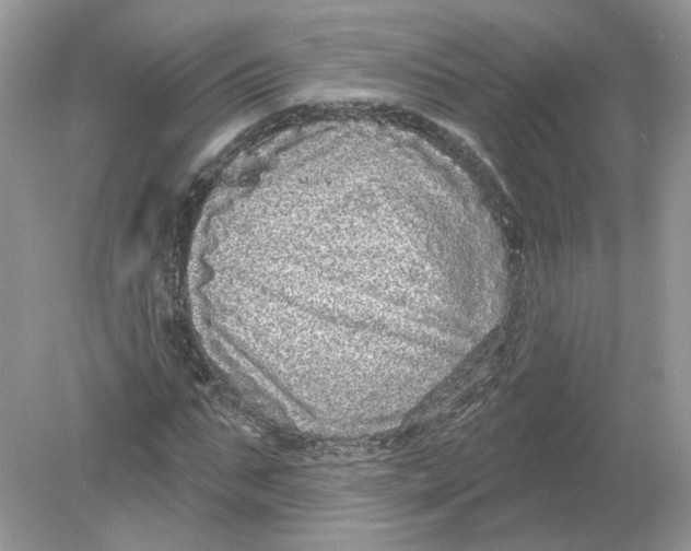 X0000078870871200612041955