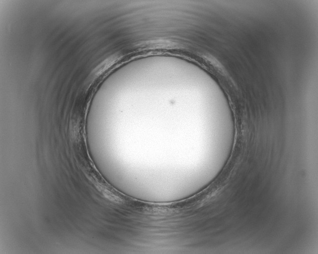 X0000078870873200612041955