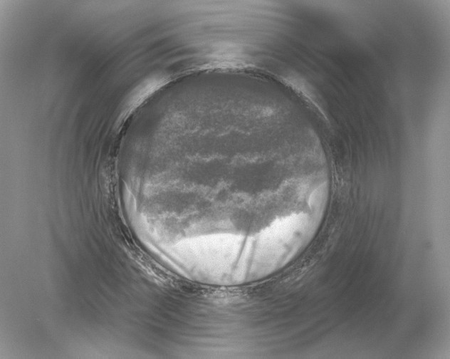 X0000078870874200612041955