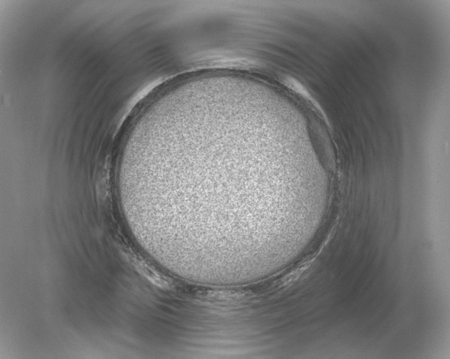 X0000078870875200612041955