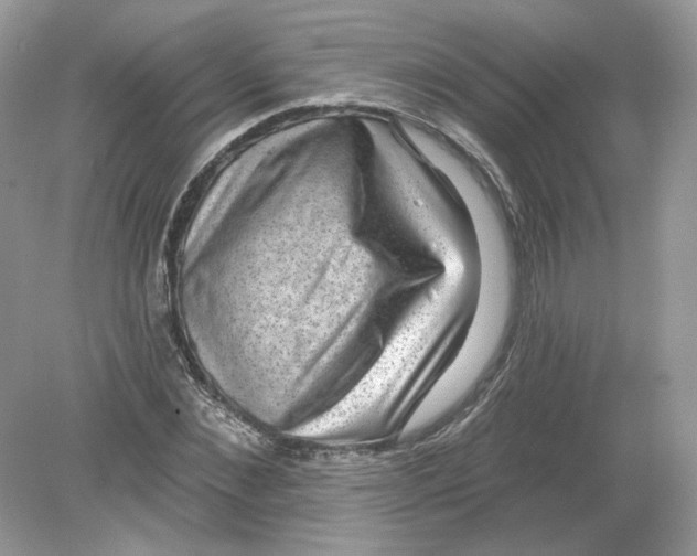 X0000078870876200612041955