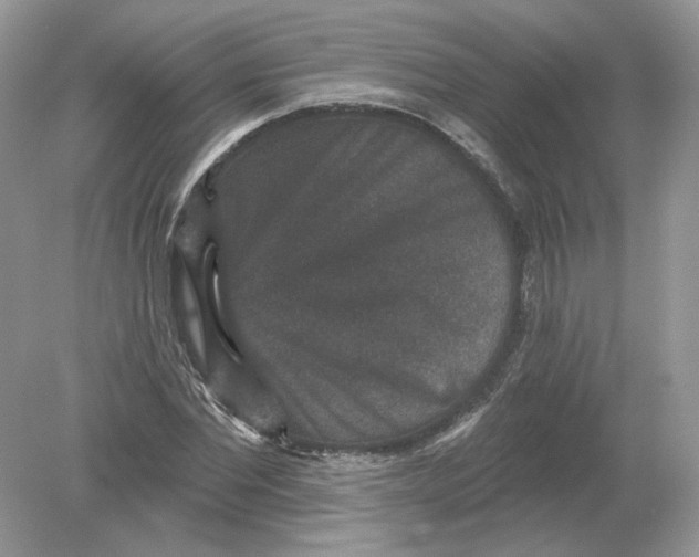 X0000078870877200612041955