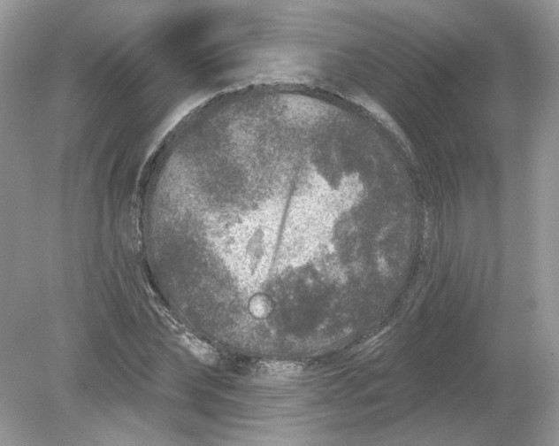 X0000078870878200612041955