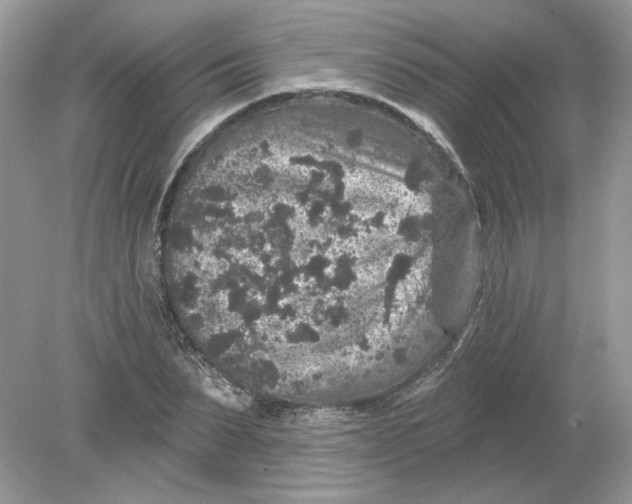 X0000078870879200612041955