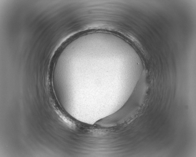 X0000078870880200612041955