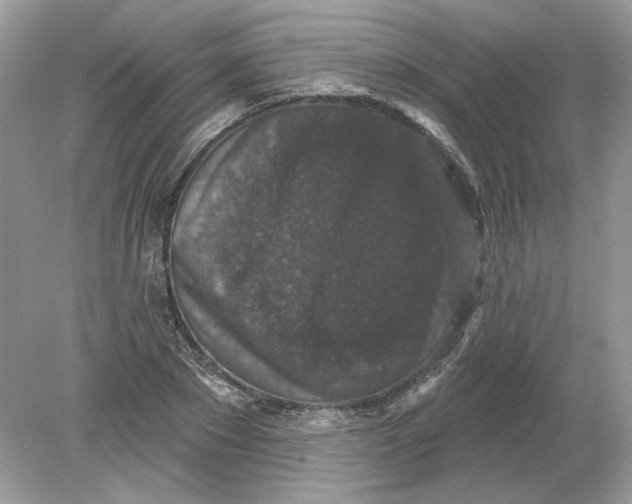 X0000078870881200612041955