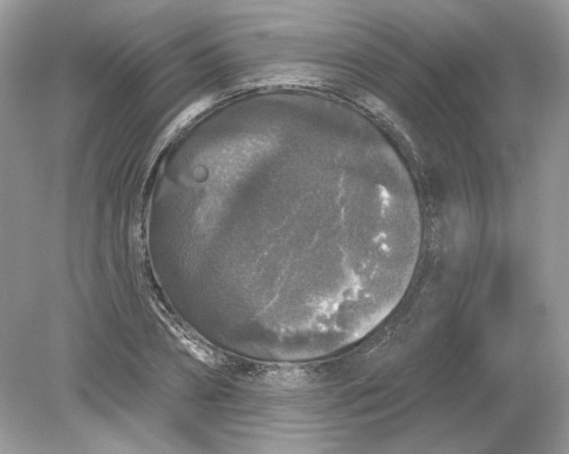 X0000078870882200612041955