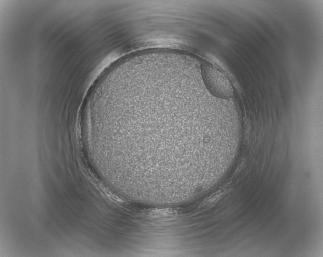 X0000078870883200612041955