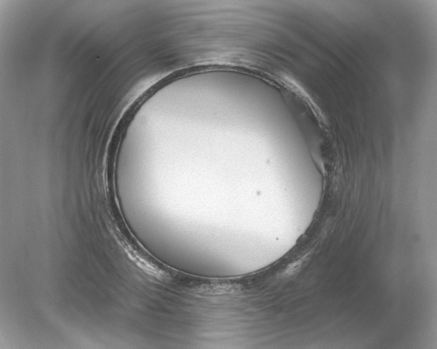 X0000078870884200612041955