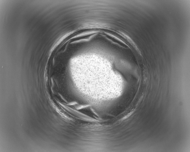 X0000078870885200612041955