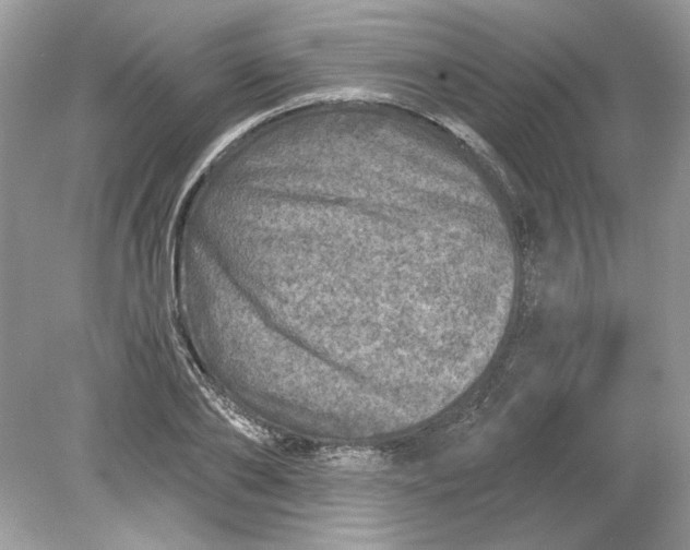 X0000078870886200612041955