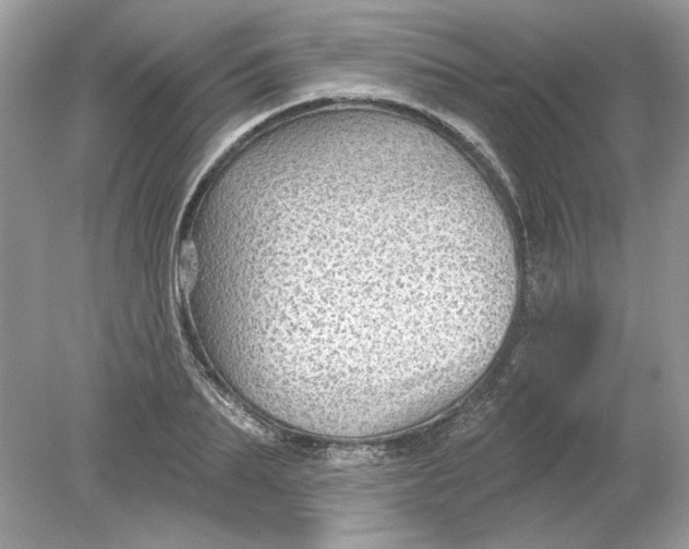 X0000078870887200612041955