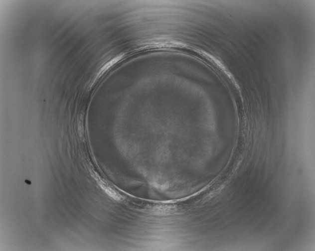 X0000078870889200612041955