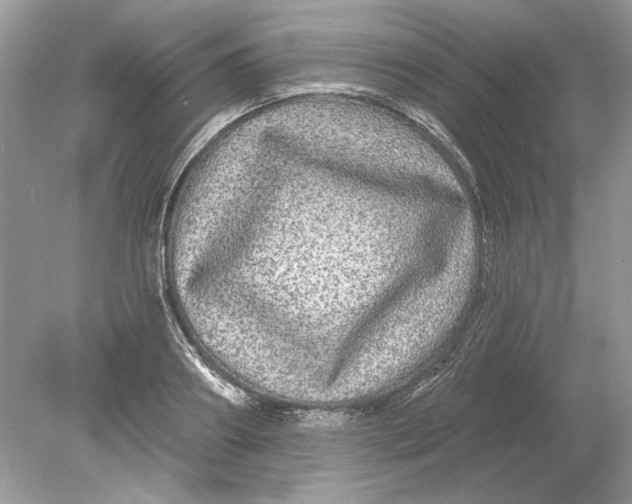 X0000078870890200612041955