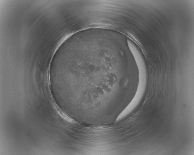 X0000078870891200612041955