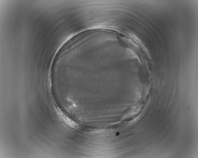 X0000078870892200612041955