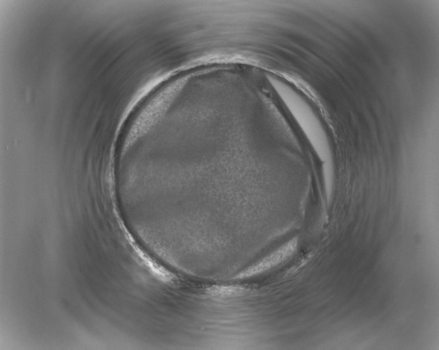 X0000078870894200612041955