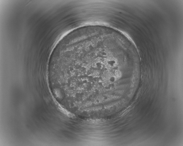 X0000078870895200612041955