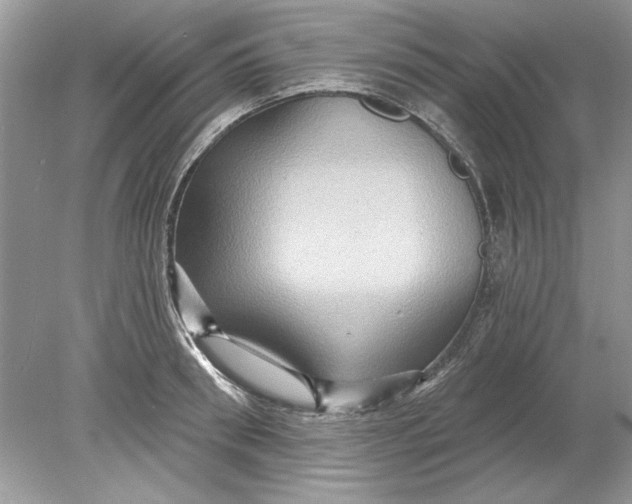 X0000078870898200612041955