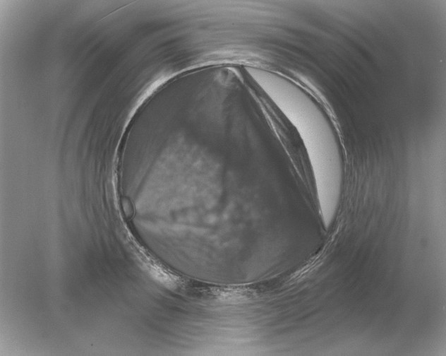 X0000078870899200612041955