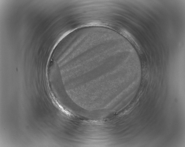 X0000078870900200612041955