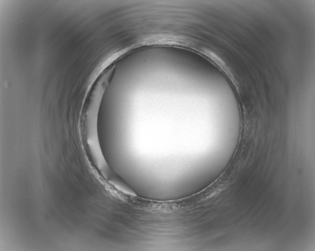 X0000078870901200612041955