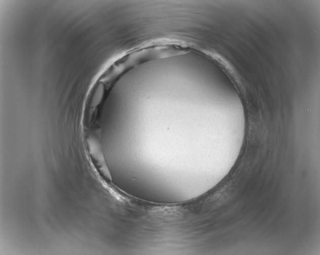 X0000078870902200612041955