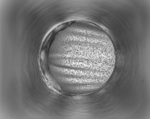 X0000078870904200612041955