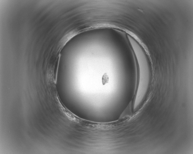 X0000078870905200612041955