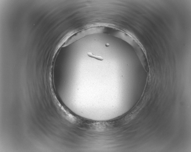 X0000078870906200612041955