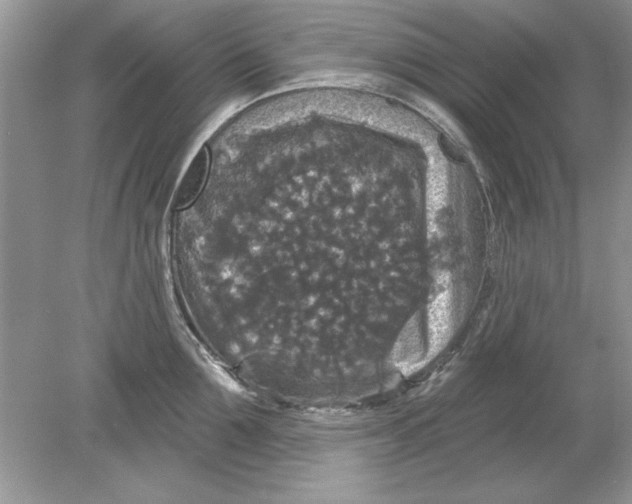 X0000078870907200612041955