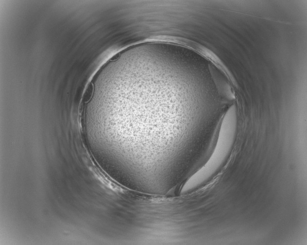 X0000078870908200612041955