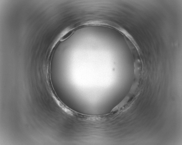 X0000078870909200612041955