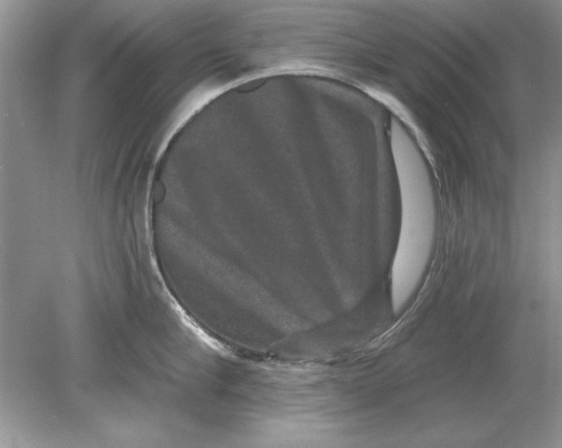 X0000078870910200612041955