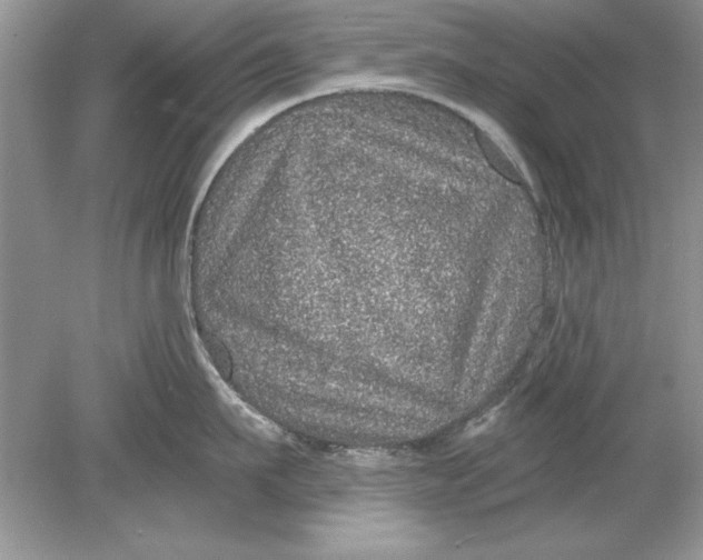 X0000078870911200612041955