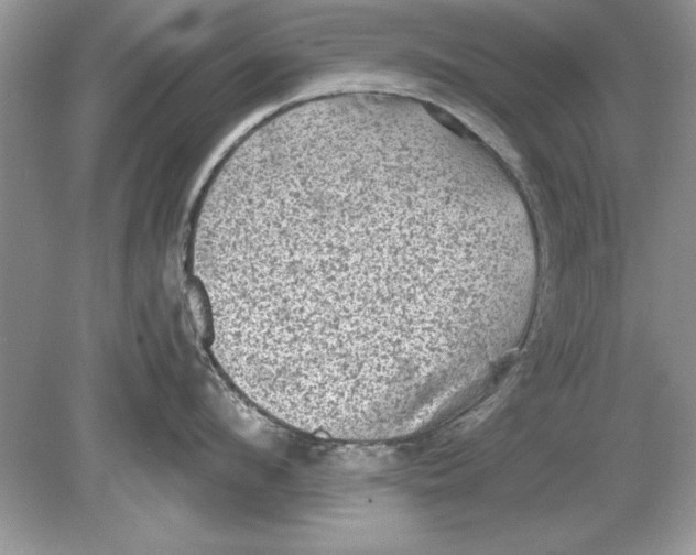 X0000078870912200612041955